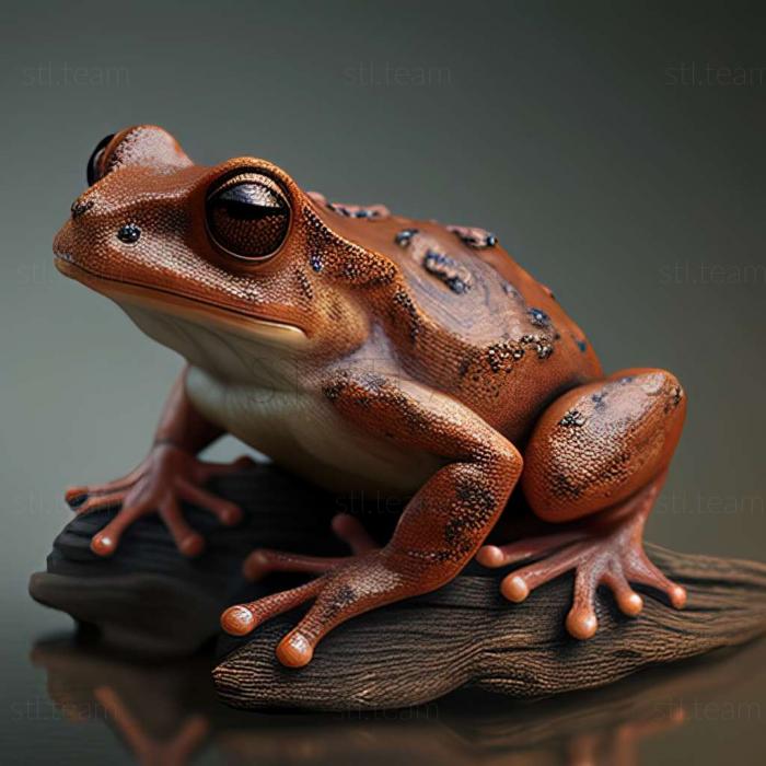 frog 3d model